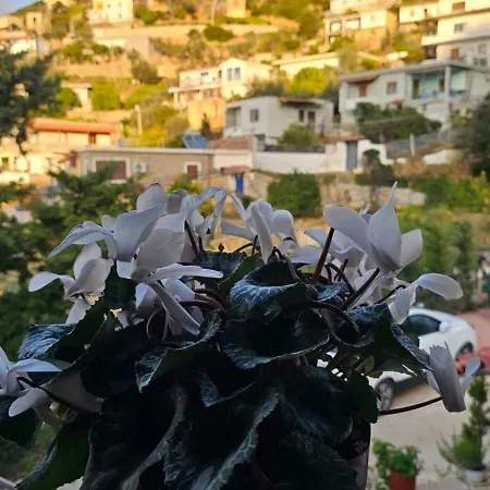J&m Sea View * Vlorë